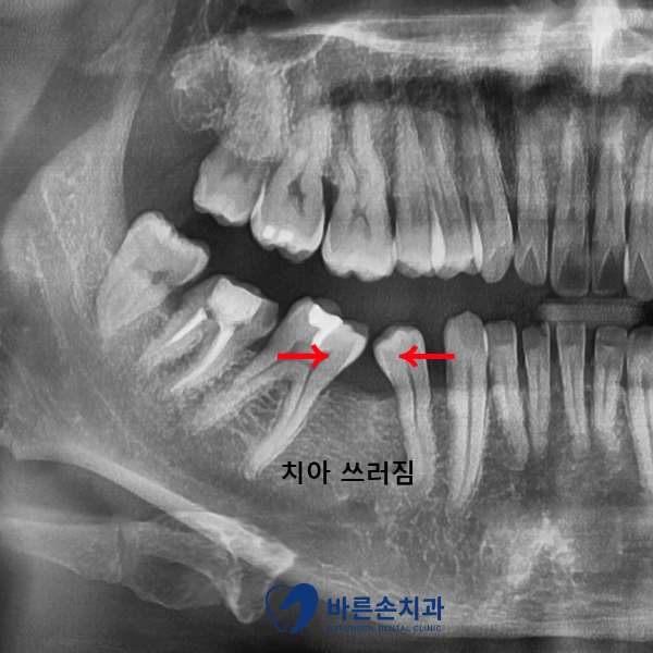 신곡동치과