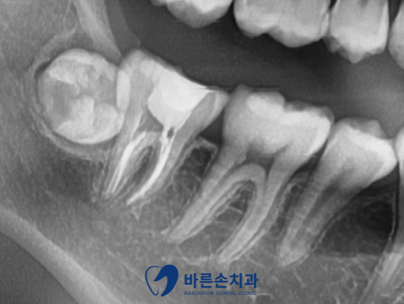 신곡동치과