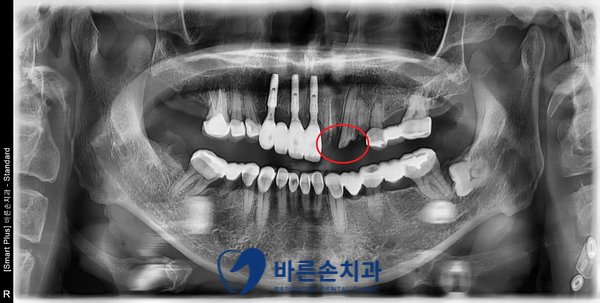 신곡동치과