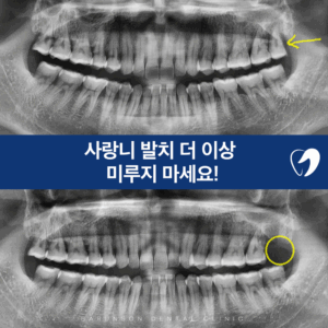신곡동치과