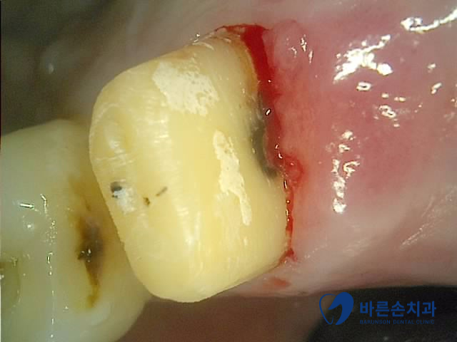 신곡동치과